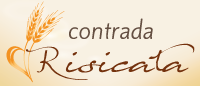 Logo RISICATA 200px